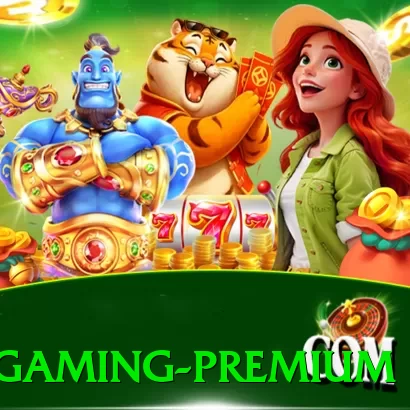 80pg - Gaming Premium - pak