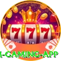 ta99 Premium Gaming App
